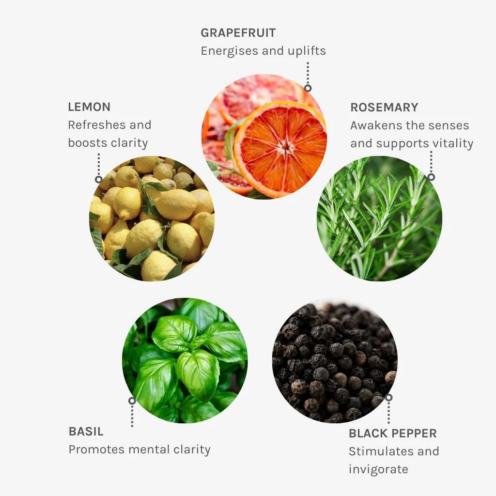 Vital Clarity Aromatic Hand & Body Lotion