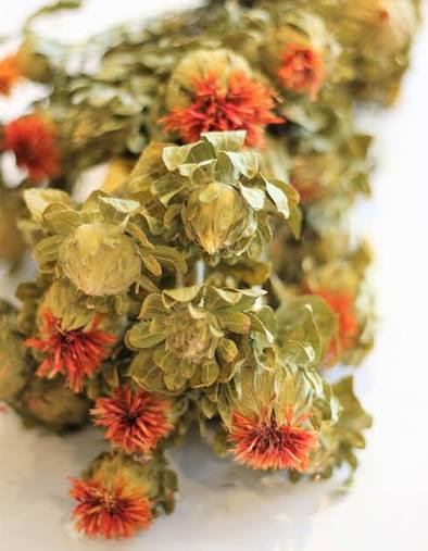 Carthamus Flowers, Natural Orange