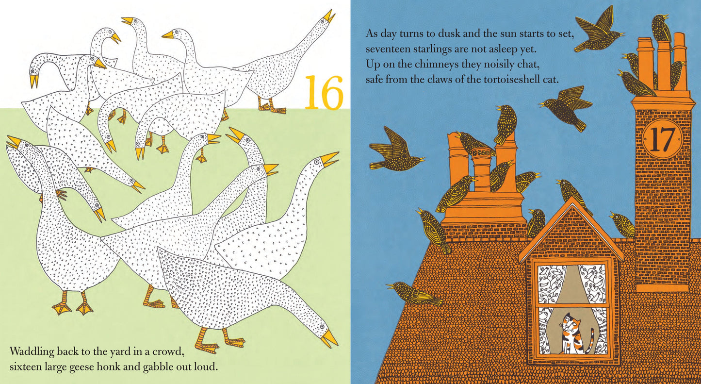 Counting Birds, 15th Anniversary Edition