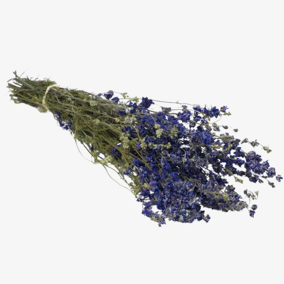 Dried Delphinium, Natural Blue