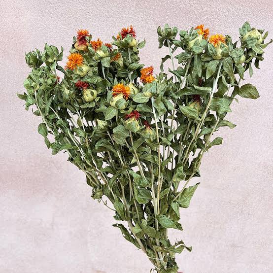 Carthamus Flowers, Natural Orange