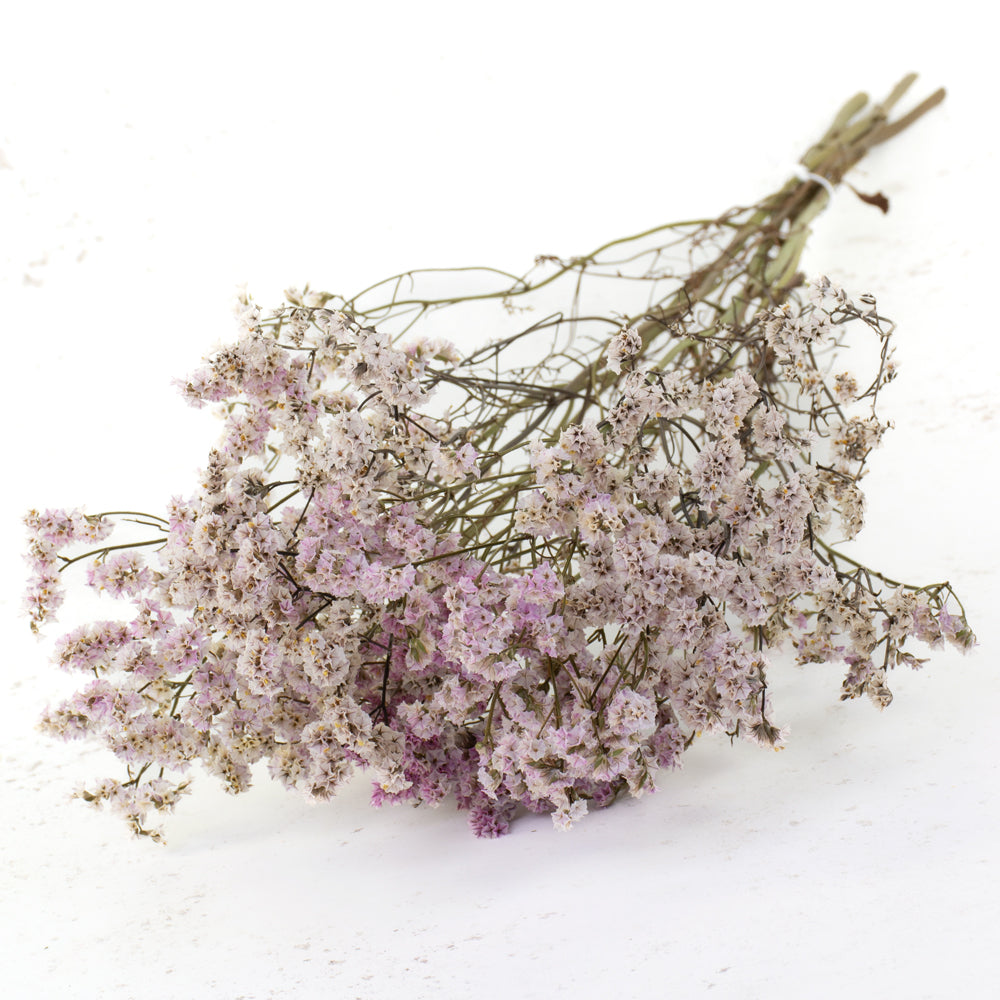 Sea Lavender, Natural Pink
