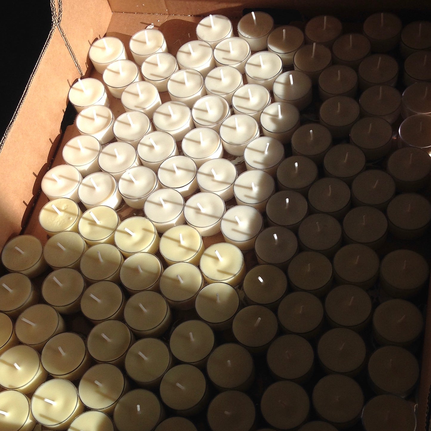 WARM Tea Lights, pre-order