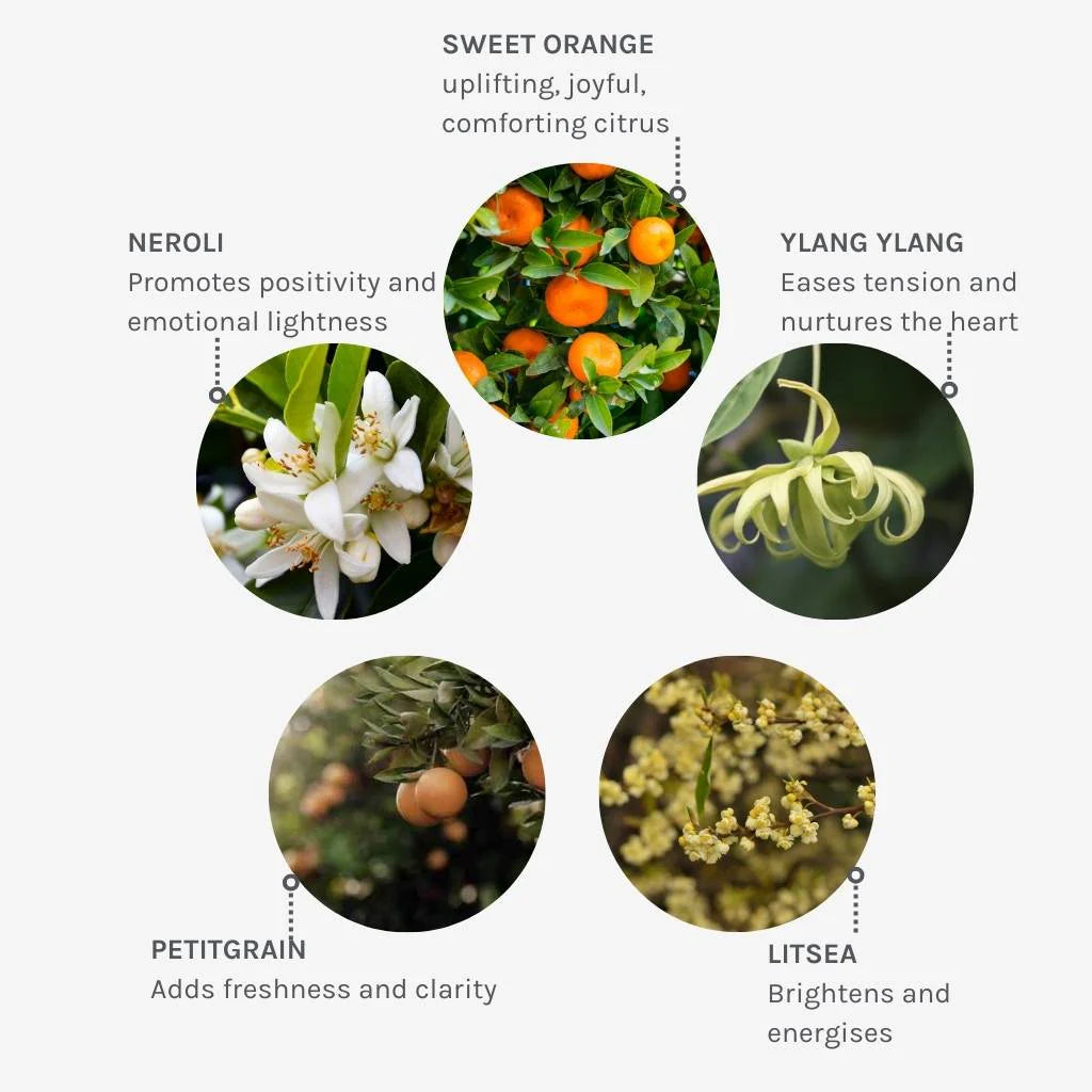 Joyful Light Hand & Body Lotion