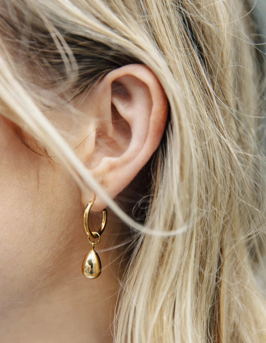 Gold Drop Hoop Earrings