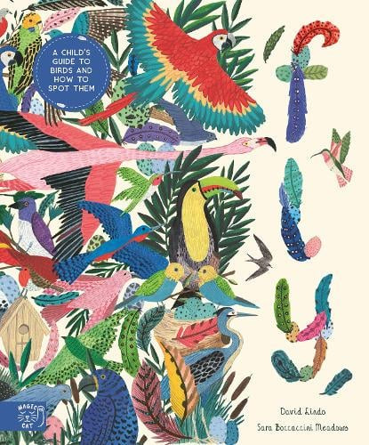Fly, A Child’s Guide To Birds