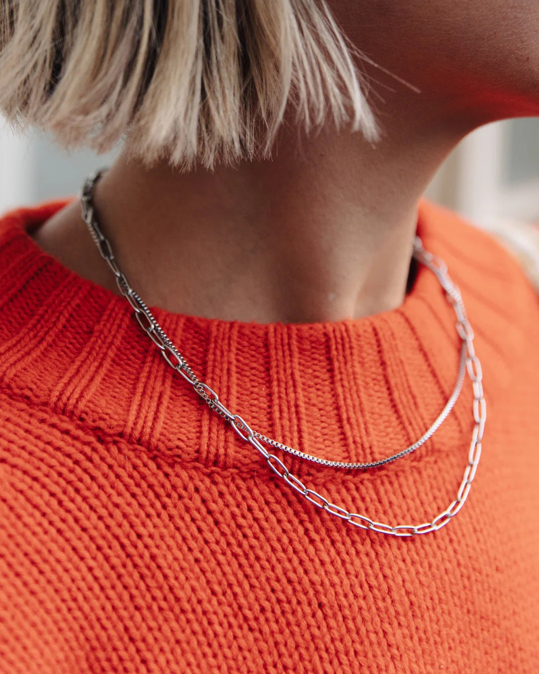Silver Double Layer Necklace