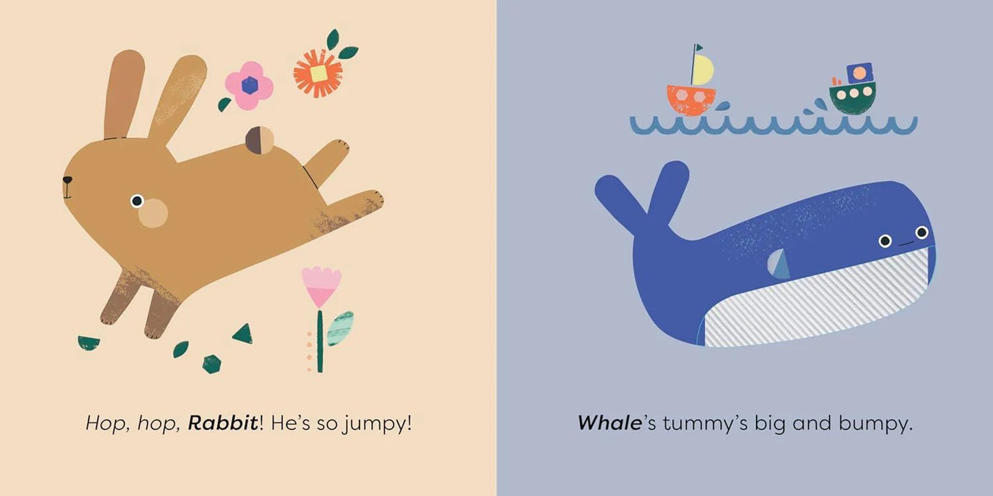 Animals: MiniTouch Board Book