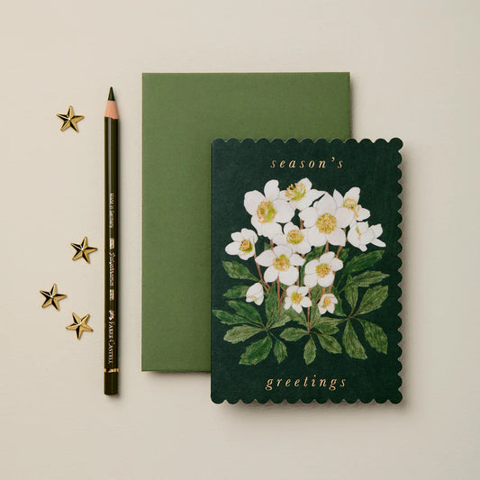 Hellebore ‘Season’s Greetings’ Card