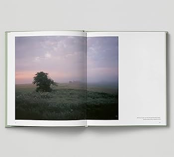 This Pleasant Land: New British Landscape Photography