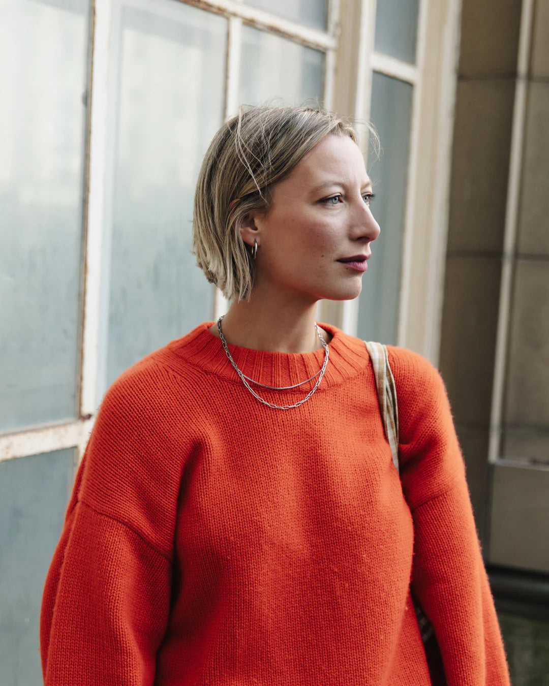 Silver Double Layer Necklace