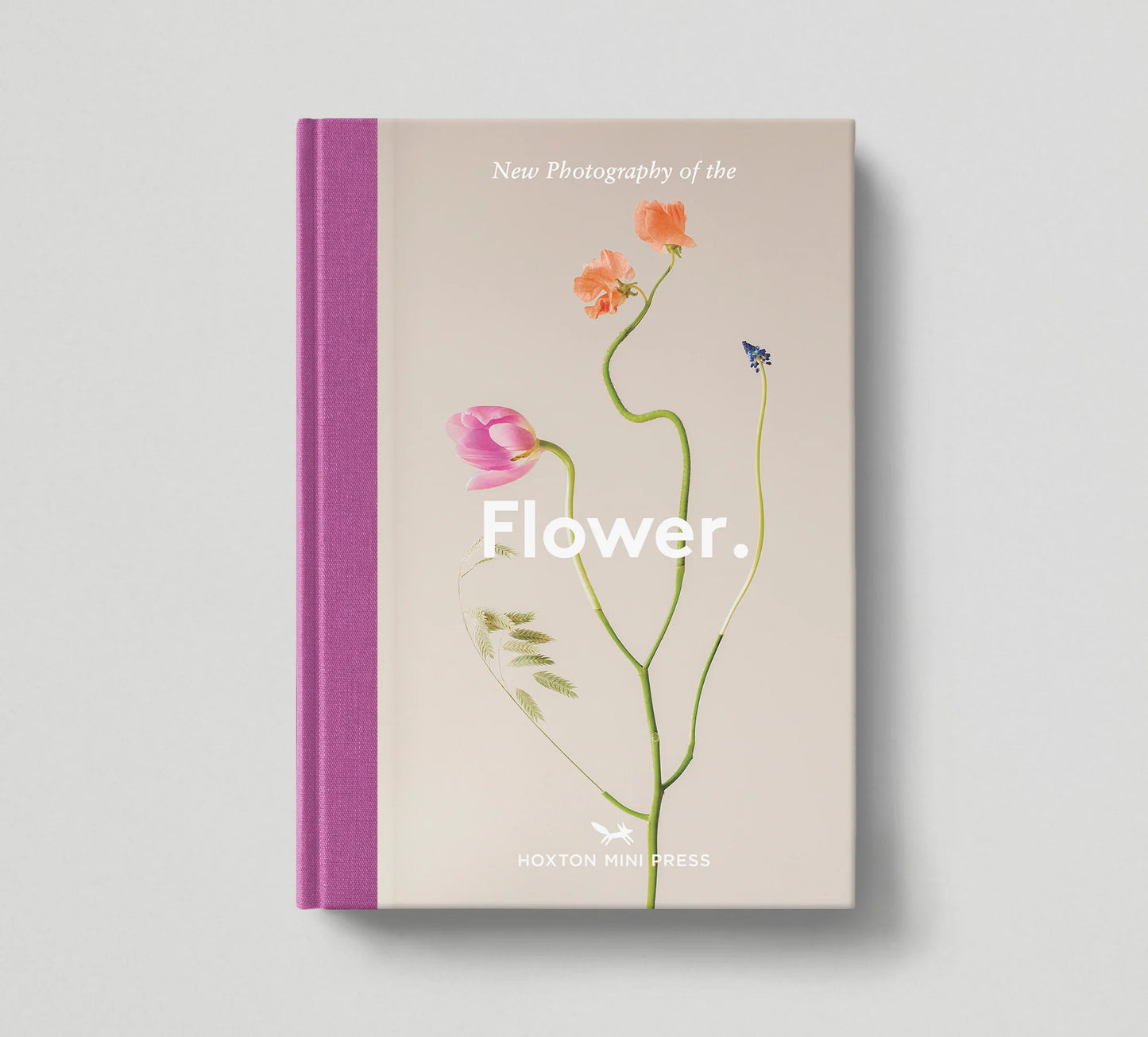 Flower.