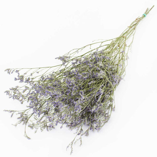 Dried flower bunch with long green stems and tiny purple lilac sea lavender flower heads